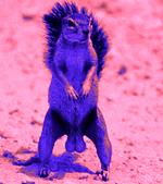 Benutzeravatar