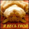 Benutzeravatar